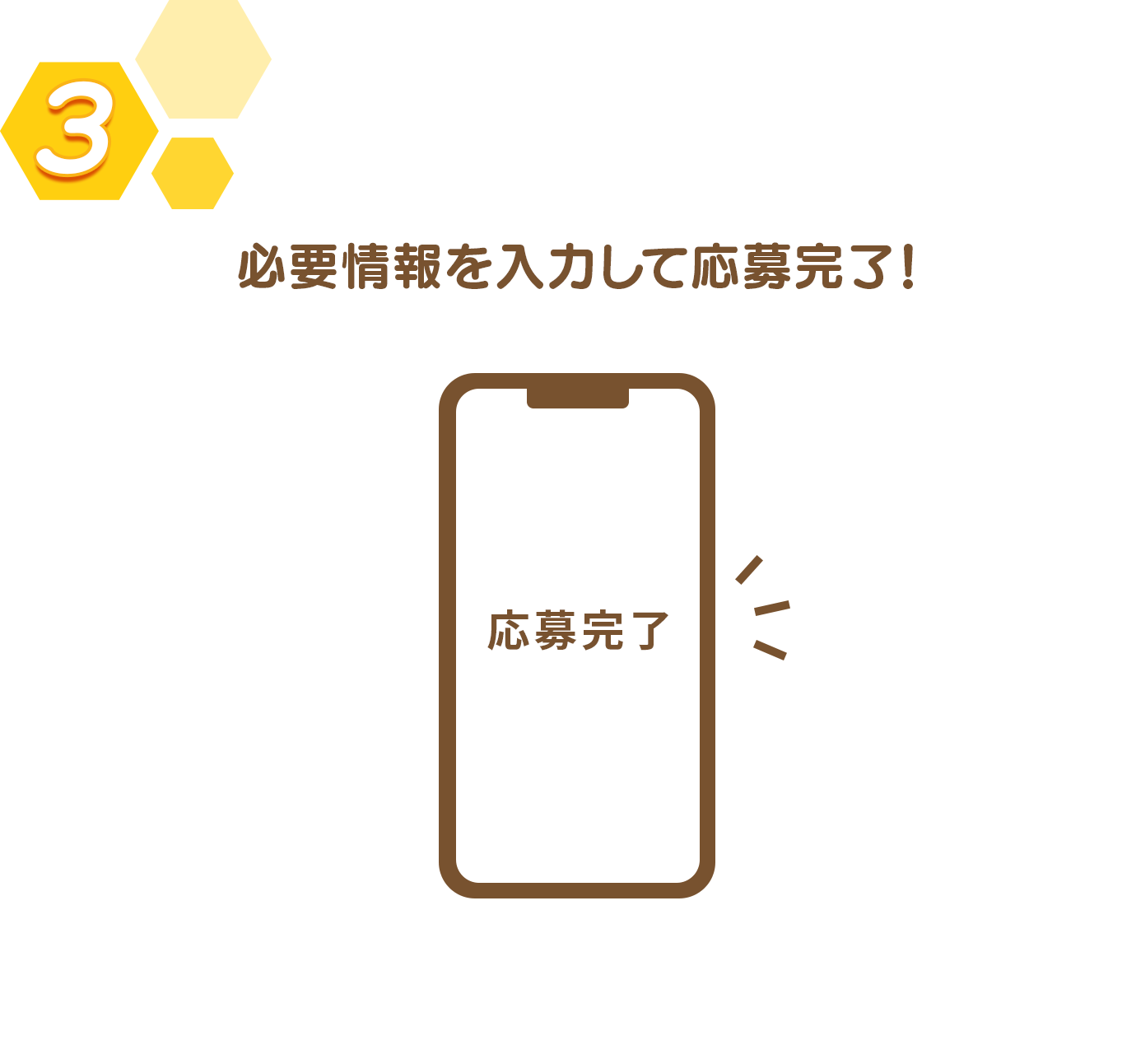 3：必要情報を入力して応募完了！